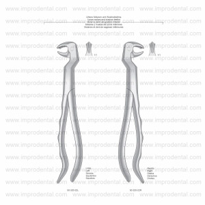 Extracting Forceps, Anatomical Handle