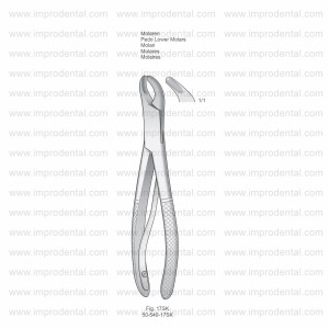 Extracting Forceps for children, American Pattern