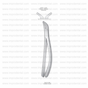 Cryer Extracting Forceps, American Pattern