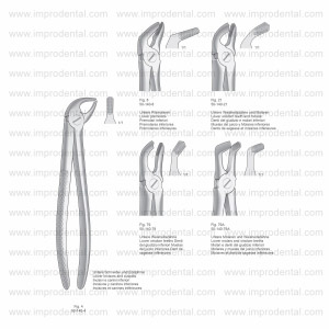 Extracting Forceps, English Pattern