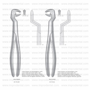 Routurier Extracting Forceps, English Pattern