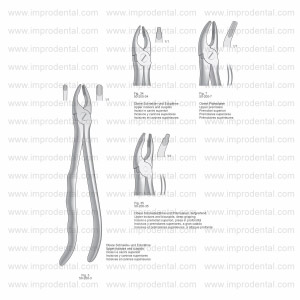 Extracting Forceps, Anatomical Handle