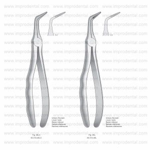 Extracting Forceps, Anatomical Handle