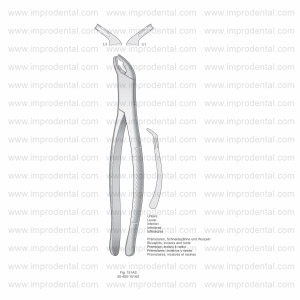 Extracting Forceps, American Pattern