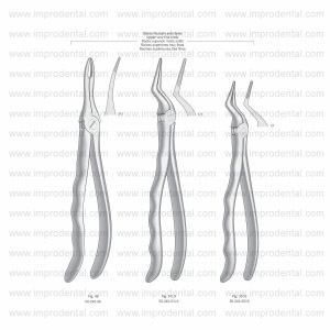 Extracting Forceps, Anatomical Handle