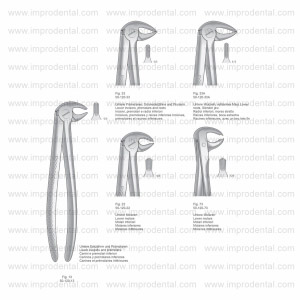 Extracting Forceps, English Pattern