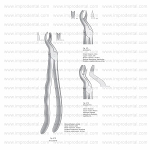 Extracting Forceps, Anatomical Handle