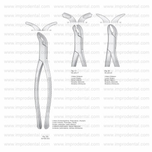 Extracting Forceps, American Pattern