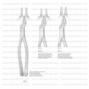 Extracting Forceps, American Pattern