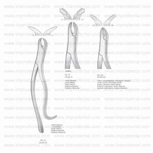 Extracting Forceps, American Pattern