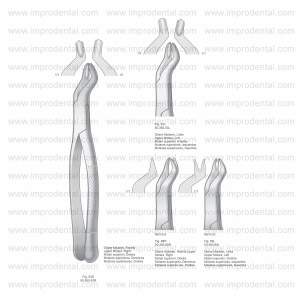 Extracting Forceps, American Pattern