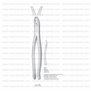 Extracting Forceps, American Pattern