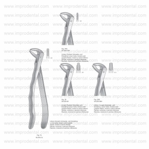 Extracting Forceps, Anatomical Handle