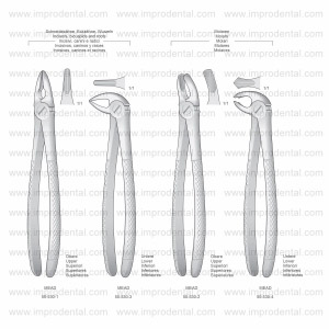 Mead Extracting Forceps