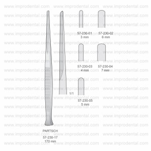 Partsch Implantology