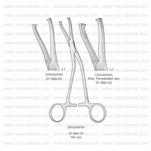 Dingmann Implantology