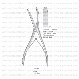 Wolff Implantology