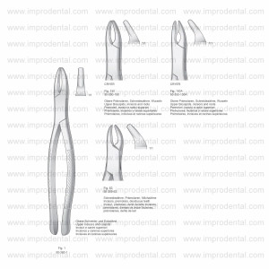 Extracting Forceps, American Pattern