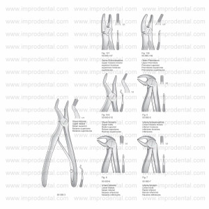 Extracting Forceps for children