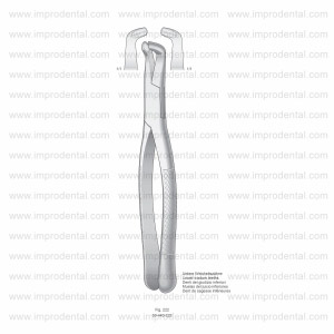 Extracting Forceps, American Pattern